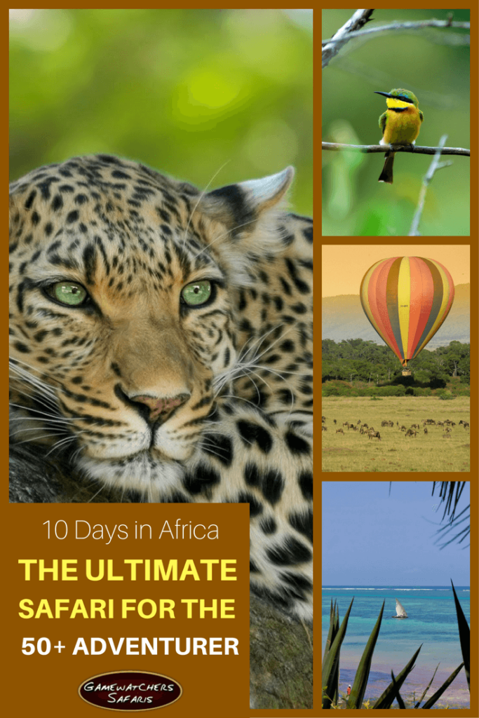 ultimate safari adventure