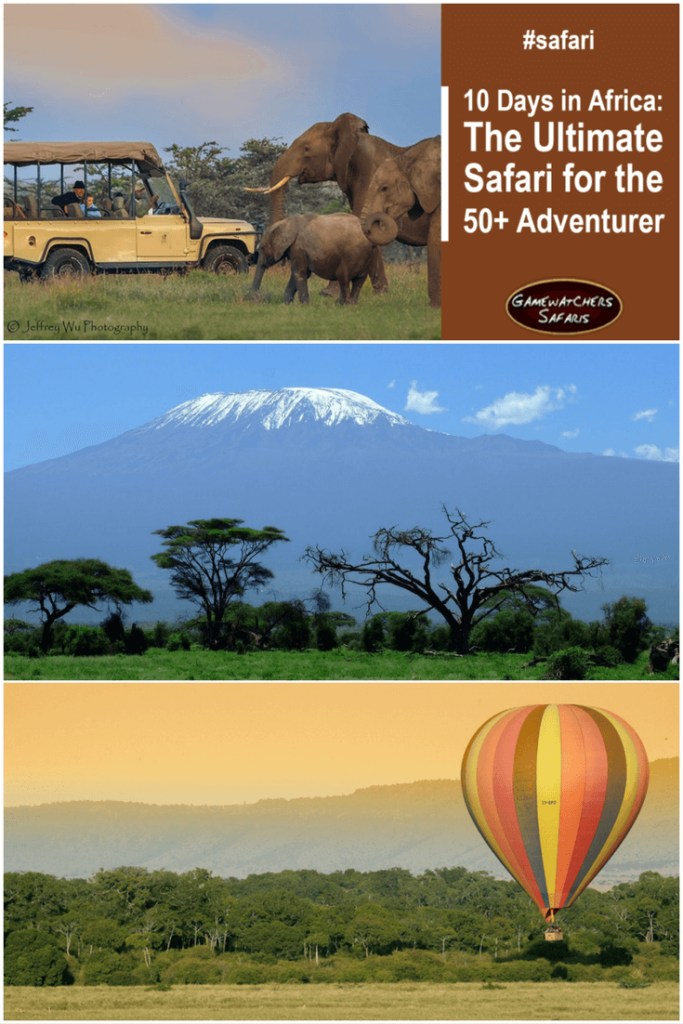 ultimate safari adventure