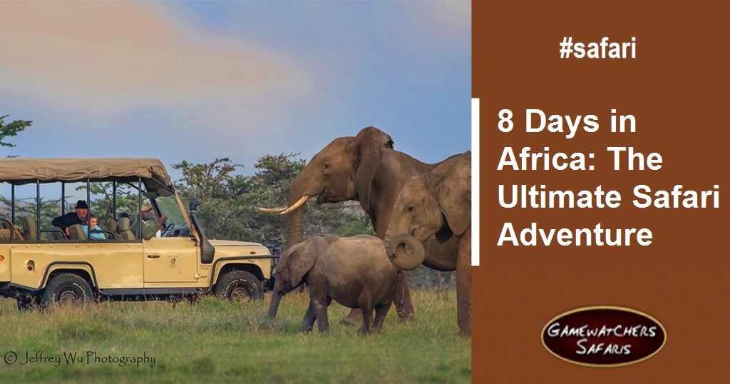 8 Days in Africa: The Ultimate Safari Adventure