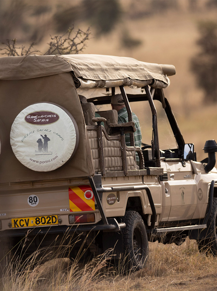 kenya game tours