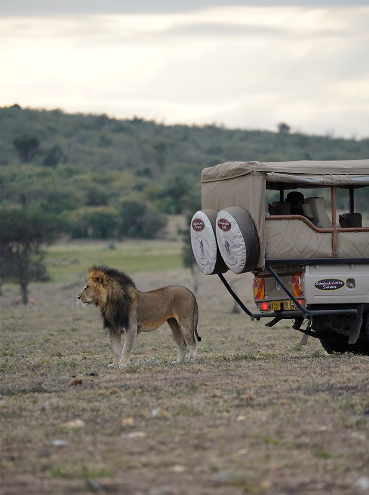 kenya game tours