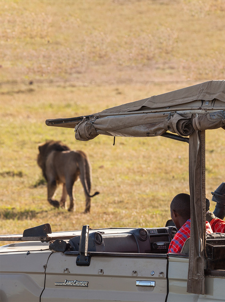 african safari tours kenya and tanzania