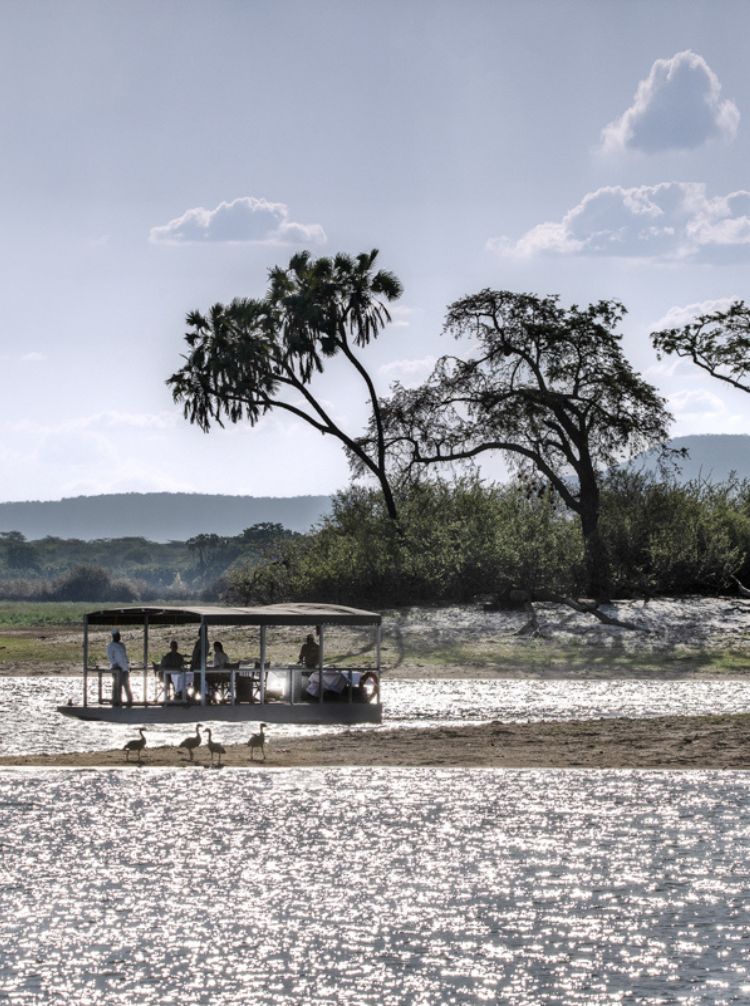 african safari tours kenya and tanzania