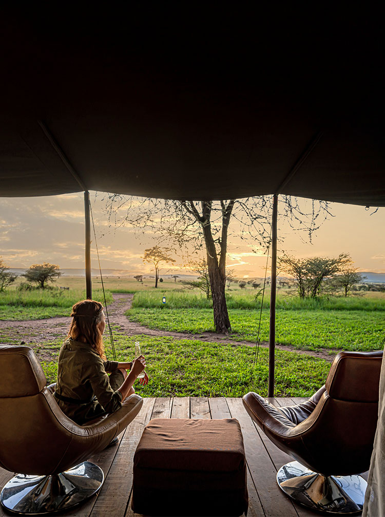 african safari tours kenya and tanzania