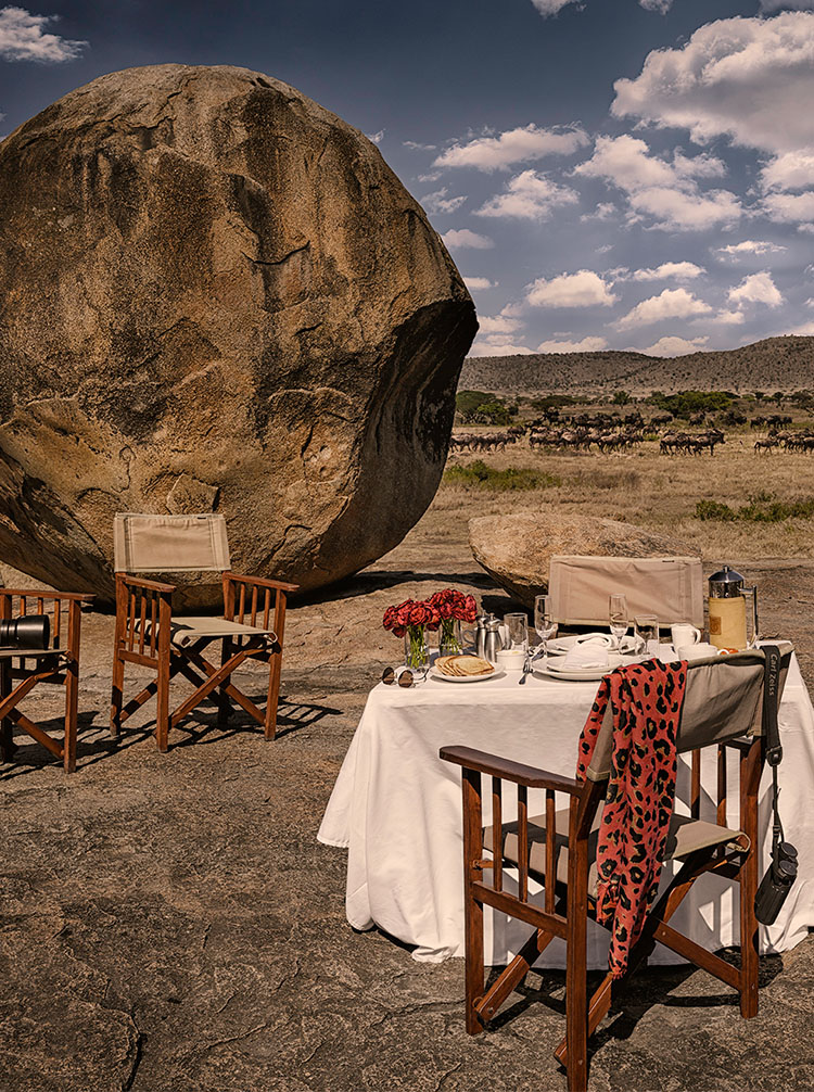 african safari tours kenya and tanzania