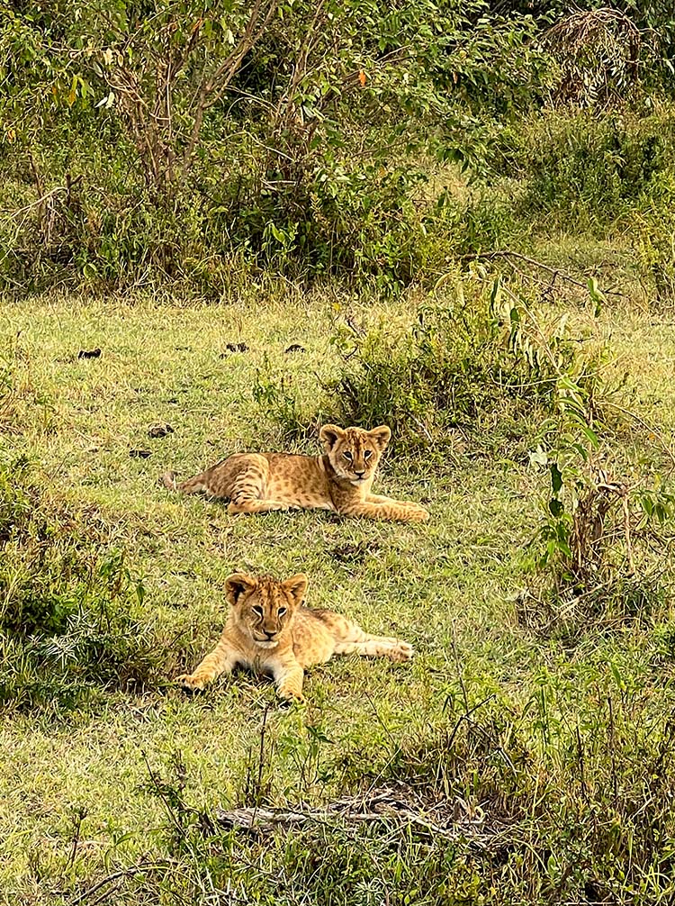 kenya game tours