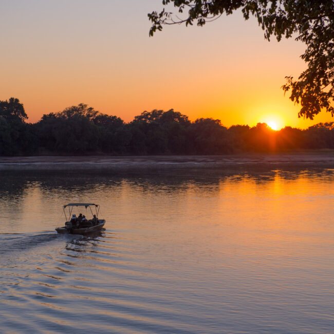 gbp-rps-luangwa-2017-1311