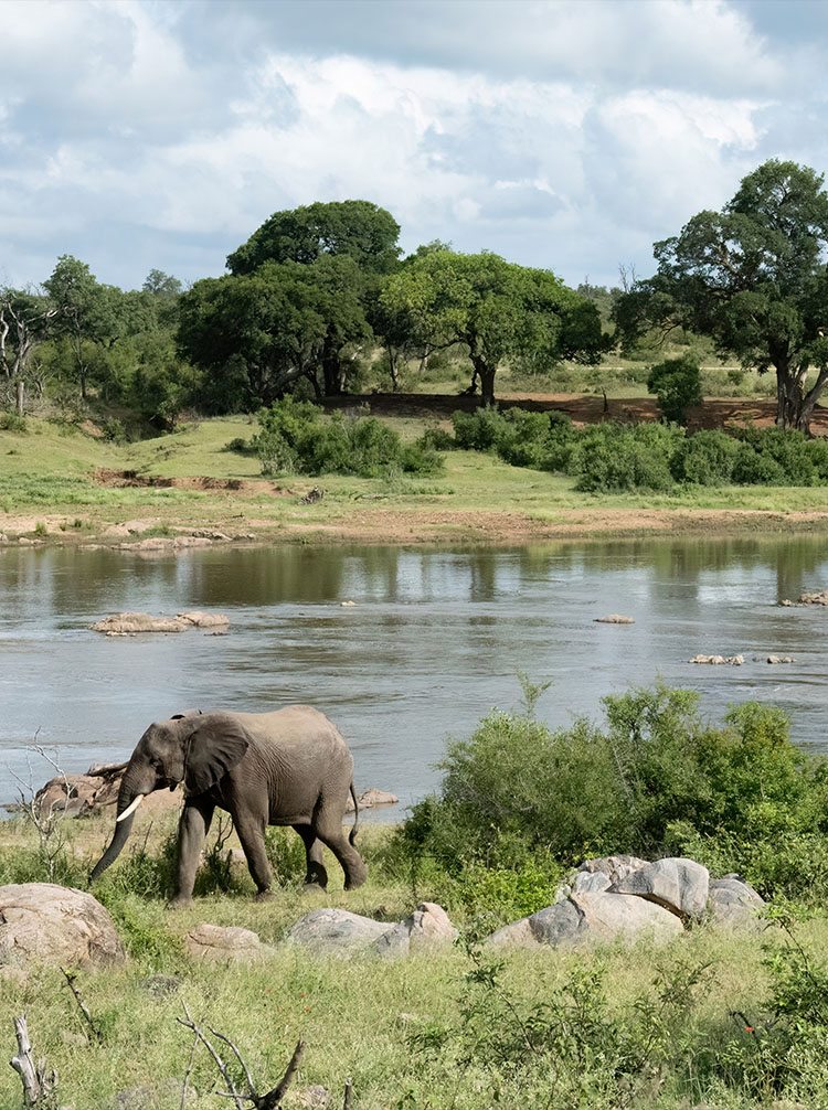 safari george south africa