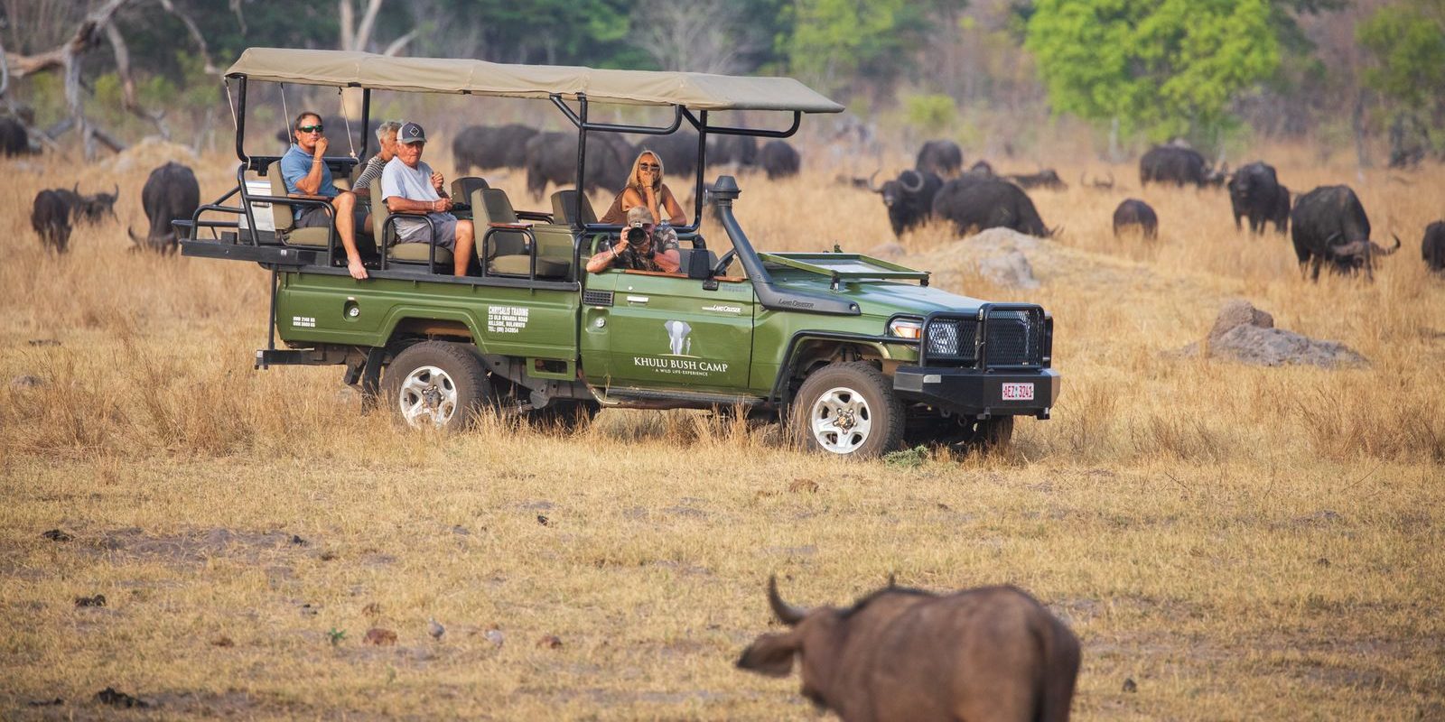 Group On Safari