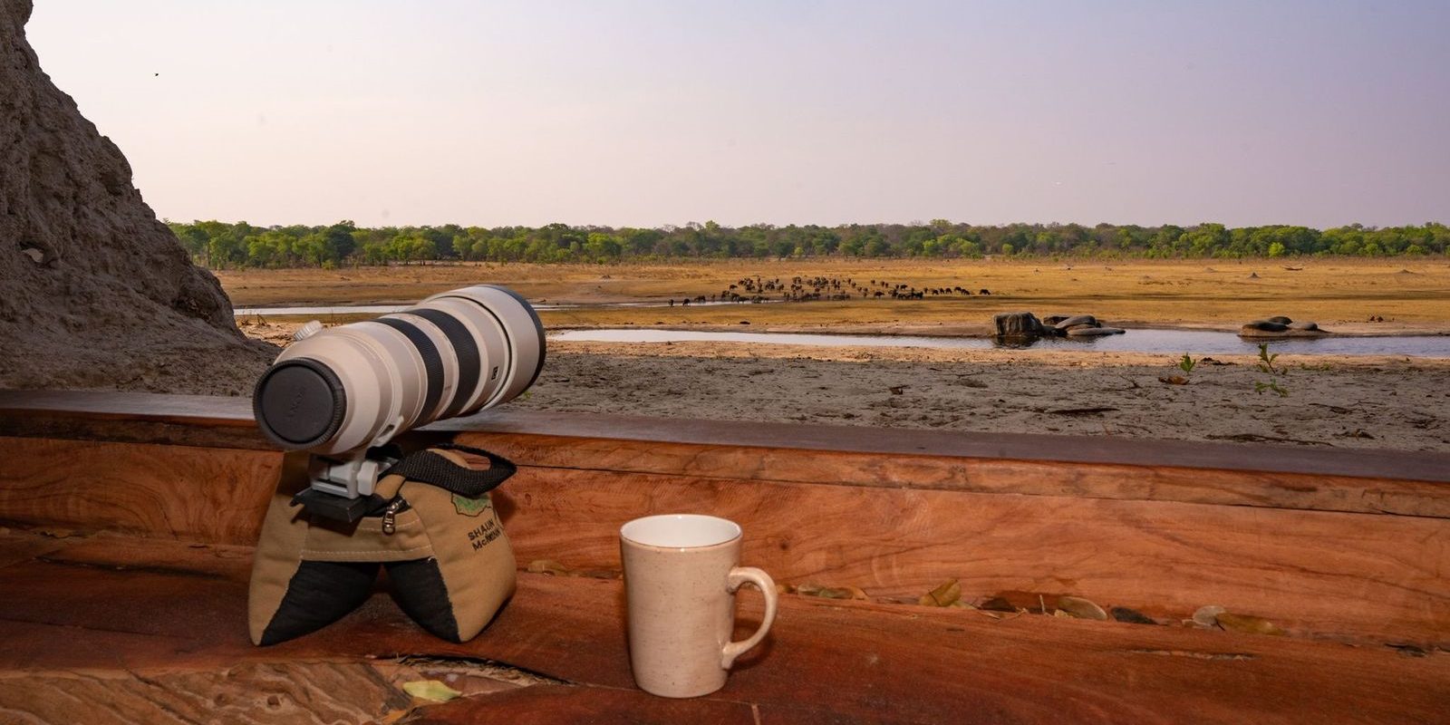 Bird Watching Safari