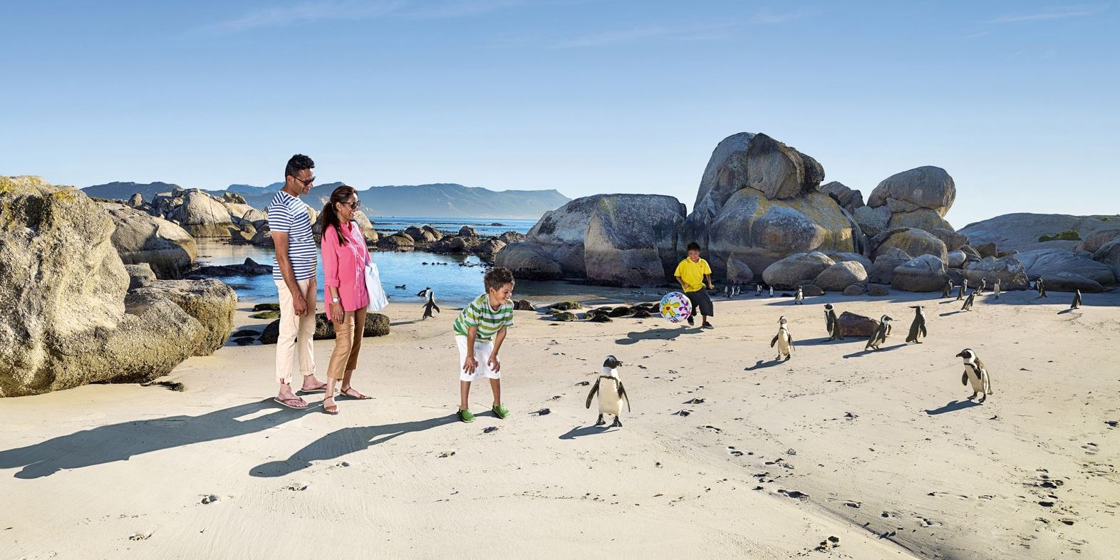 Boulders Beach, South Africa