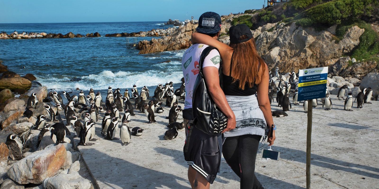 Boulders Beach, South Africa