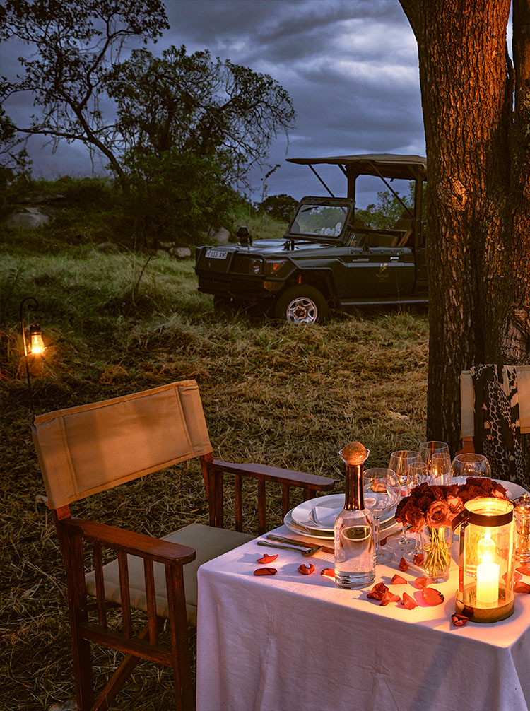 african safari tours kenya and tanzania