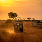 Off Road vehicle in kenya national park